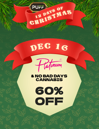 mobile-banner-Dec16-PV&NBD